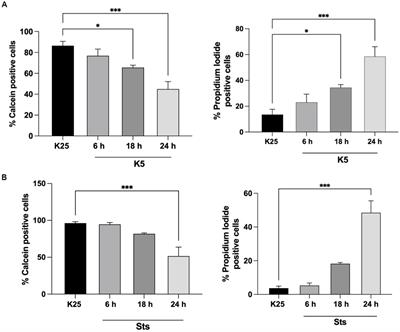 Txnip expression promotes JNK-mediated neuronal death in response to reactive oxygen species